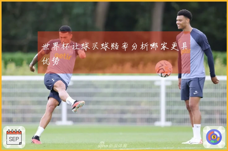 世界杯让球买球赔率分析哪家更具优势